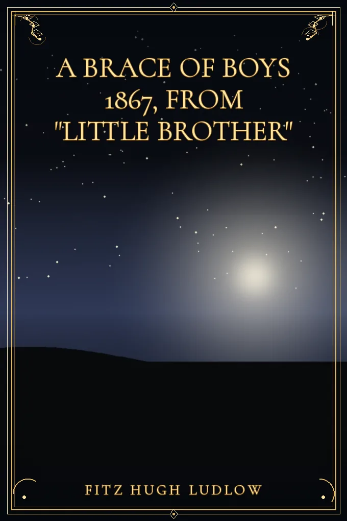 Cover of A Brace Of Boys 1867, From "Little Brother"