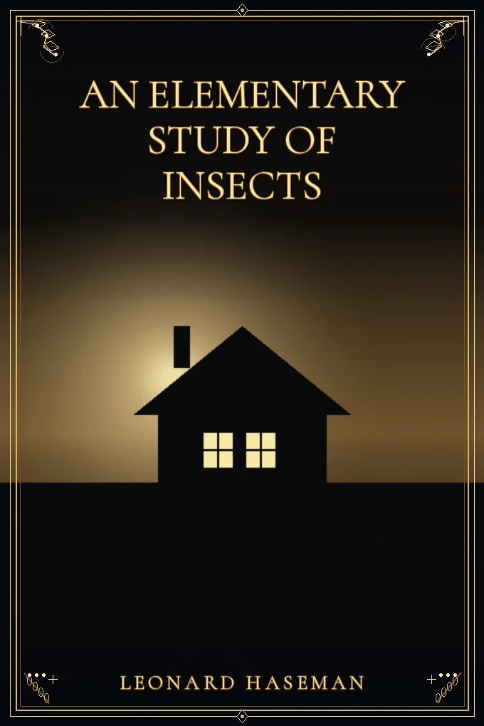 An Elementary Study of Insects