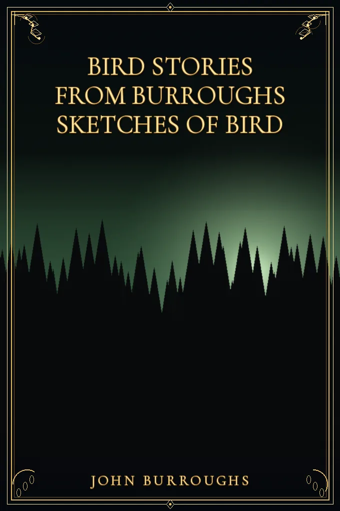 Bird Stories from Burroughs Sketches of Bird