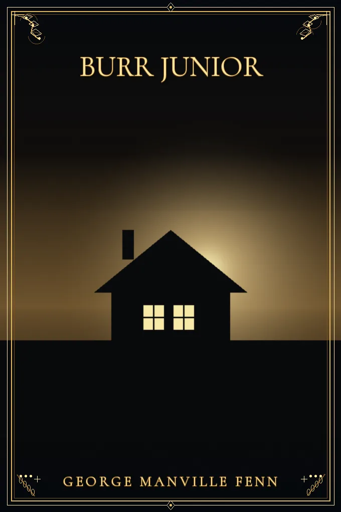 Cover of Burr Junior