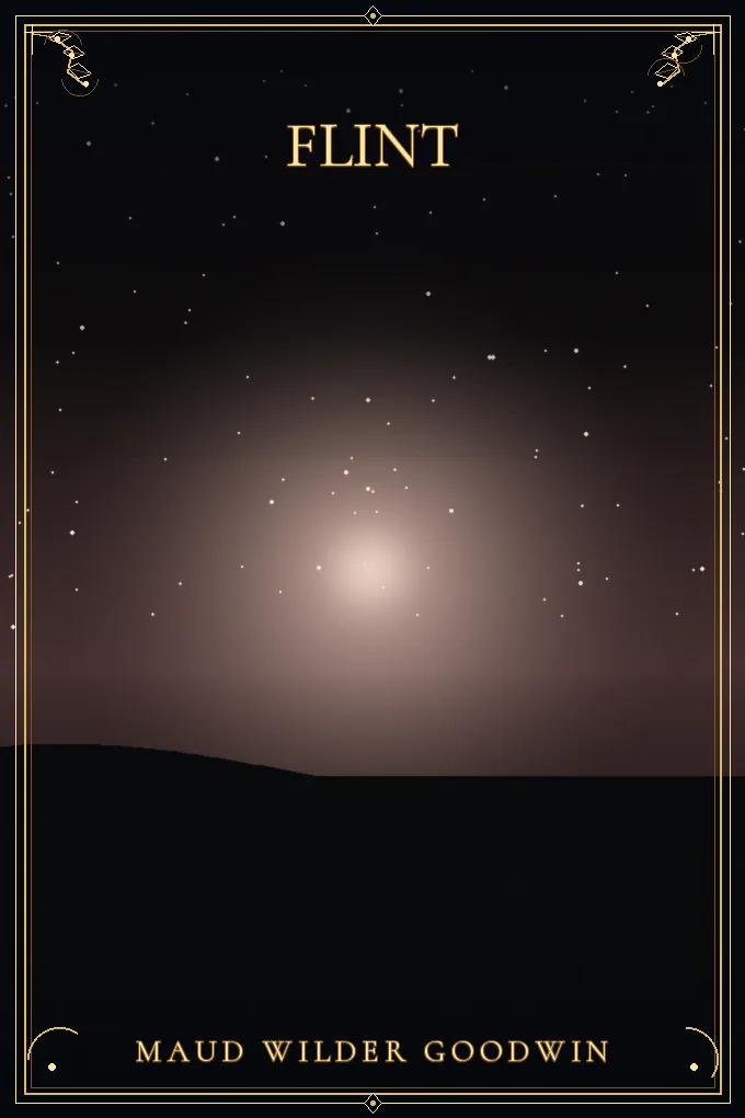 Cover of Flint