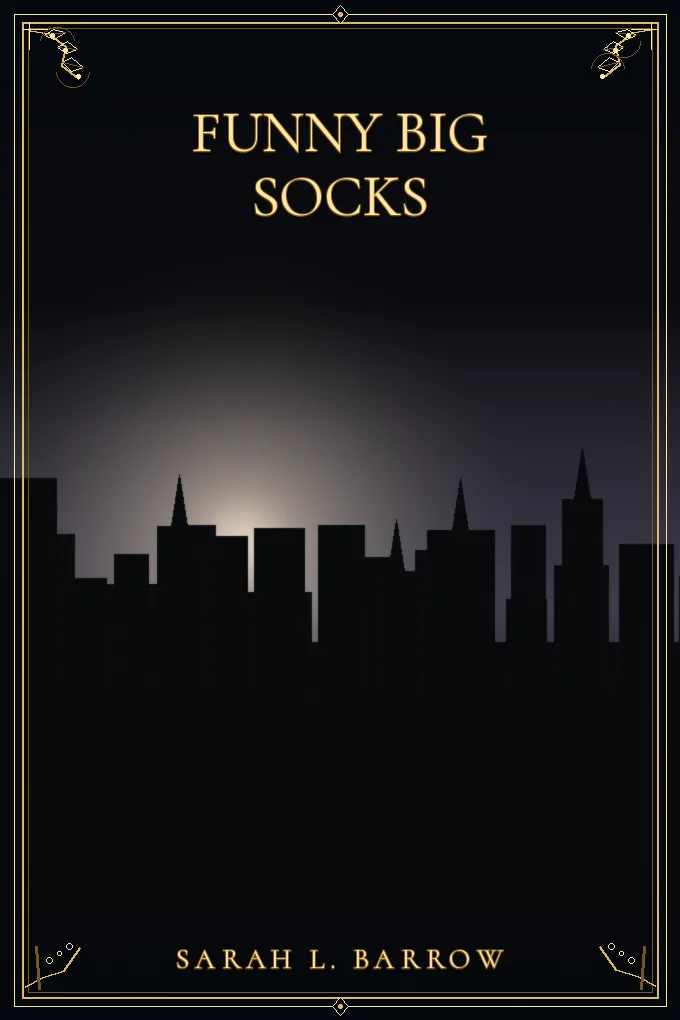 Cover of Funny Big Socks