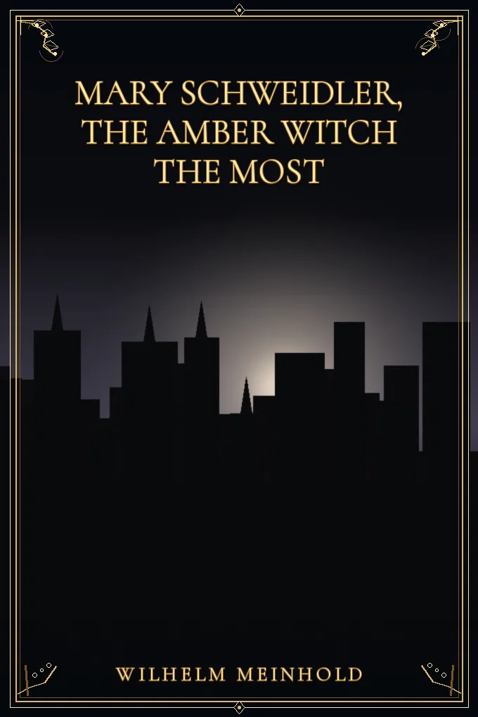 Cover of Mary Schweidler, the amber witch The most