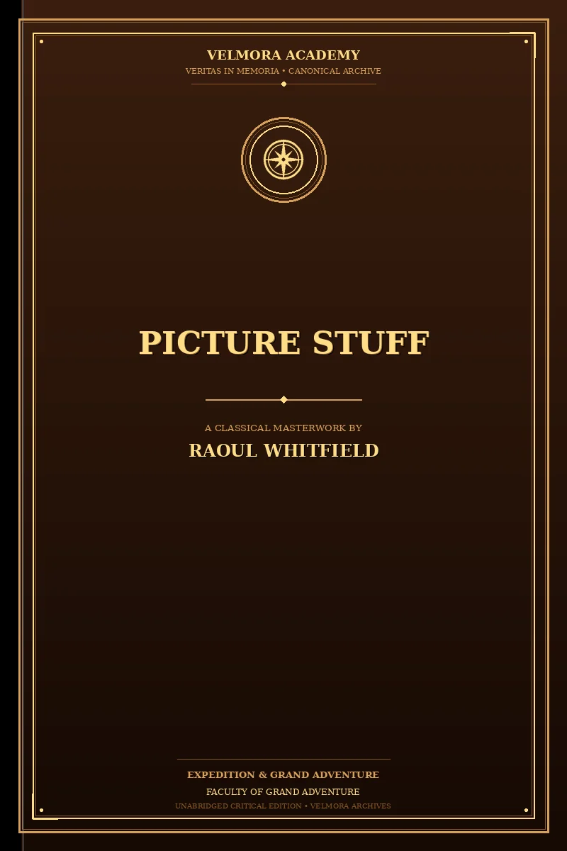 Cover of Picture stuff