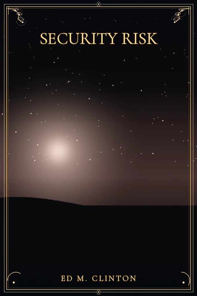Cover of Security Risk