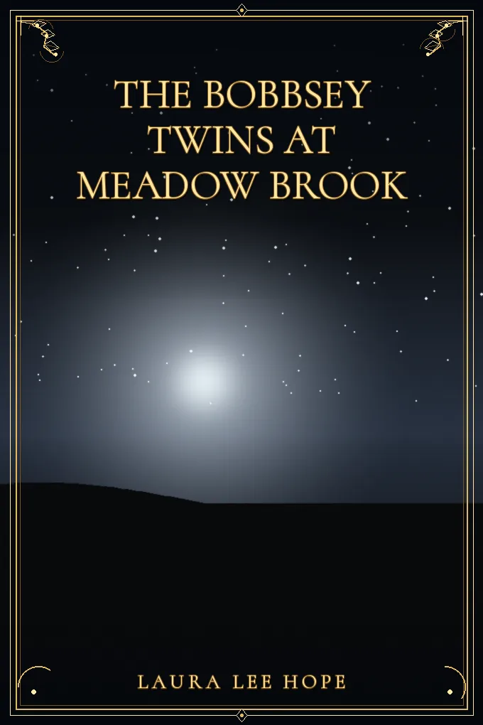 Cover of The Bobbsey Twins at Meadow Brook