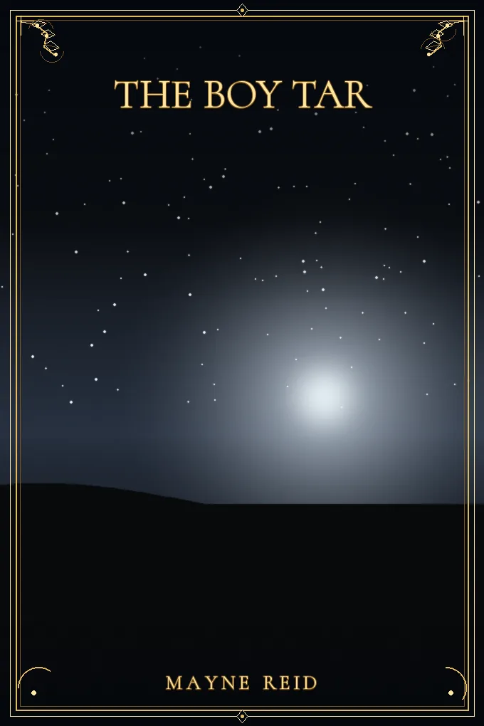 Cover of The Boy Tar