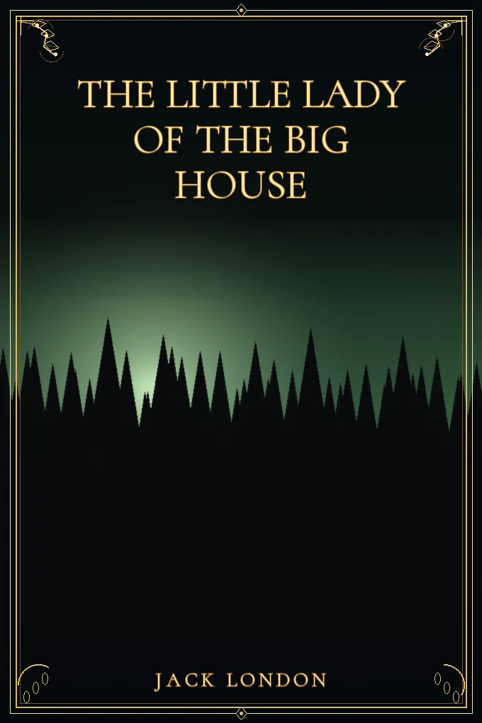 Cover of The Little Lady of the Big House
