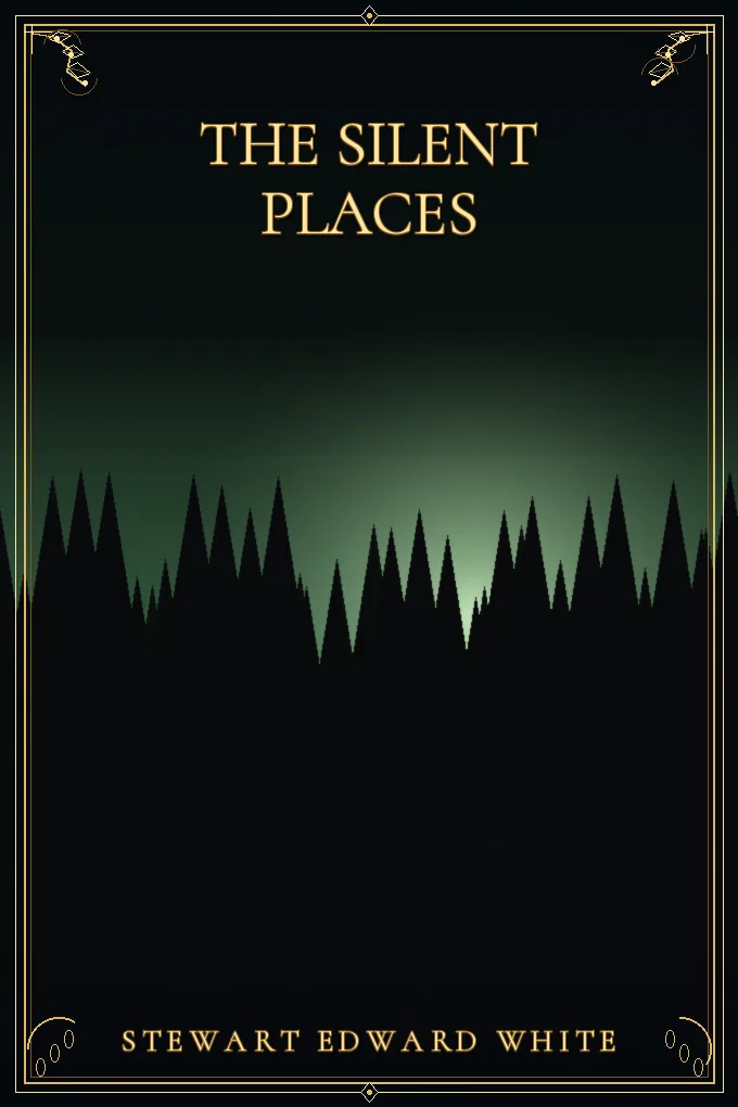 Cover of The silent places