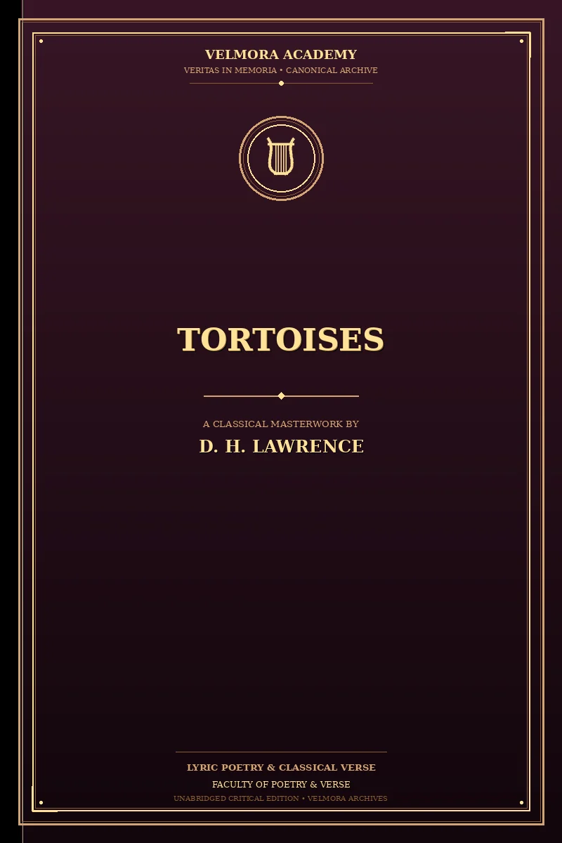 Cover of Tortoises