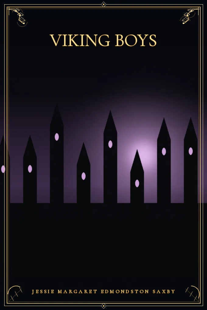 Cover of Viking Boys