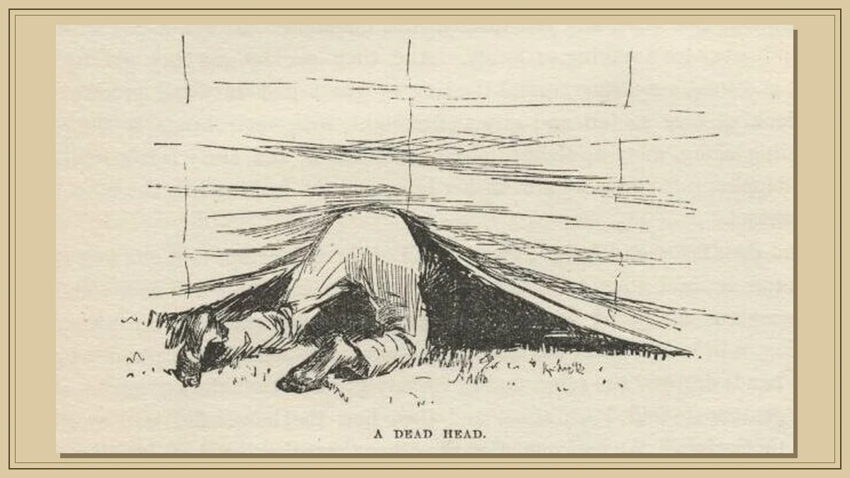 A Dead Head